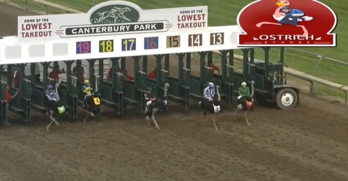 Wacky Races ostrich race